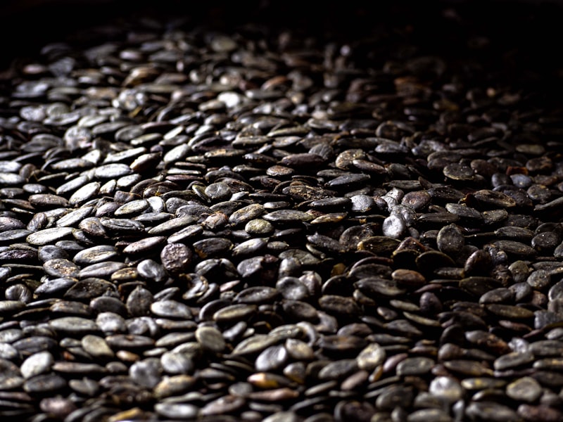 Black Seed Oil - حبة البركة
