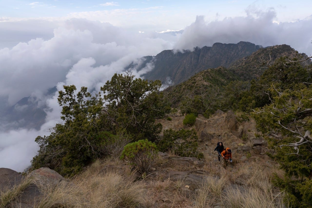 Dramatic descent from Jabal Sawda to the Tihama plain