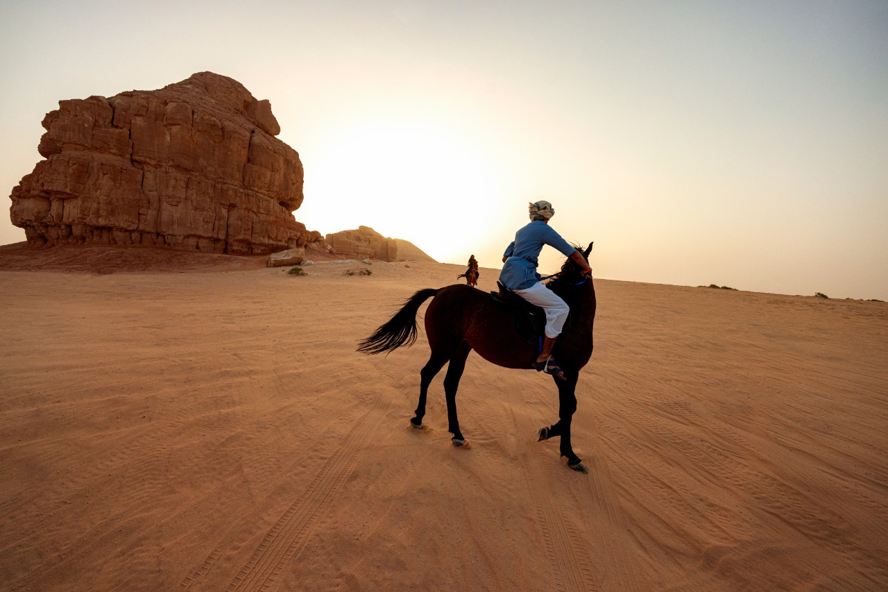 Al-Ahsa Oasis