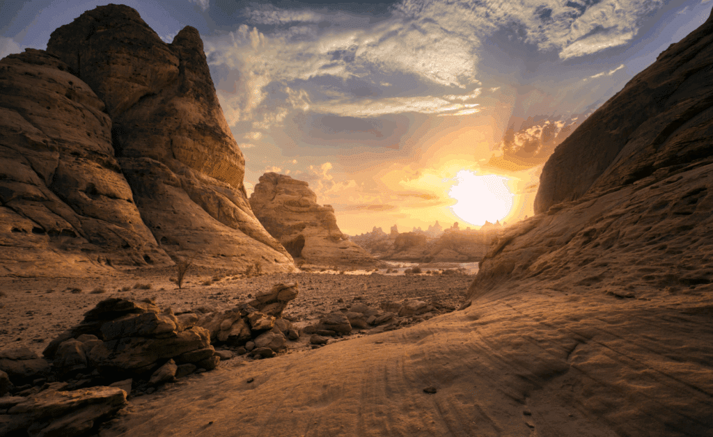 Desert Adventures in Saudi Arabia
