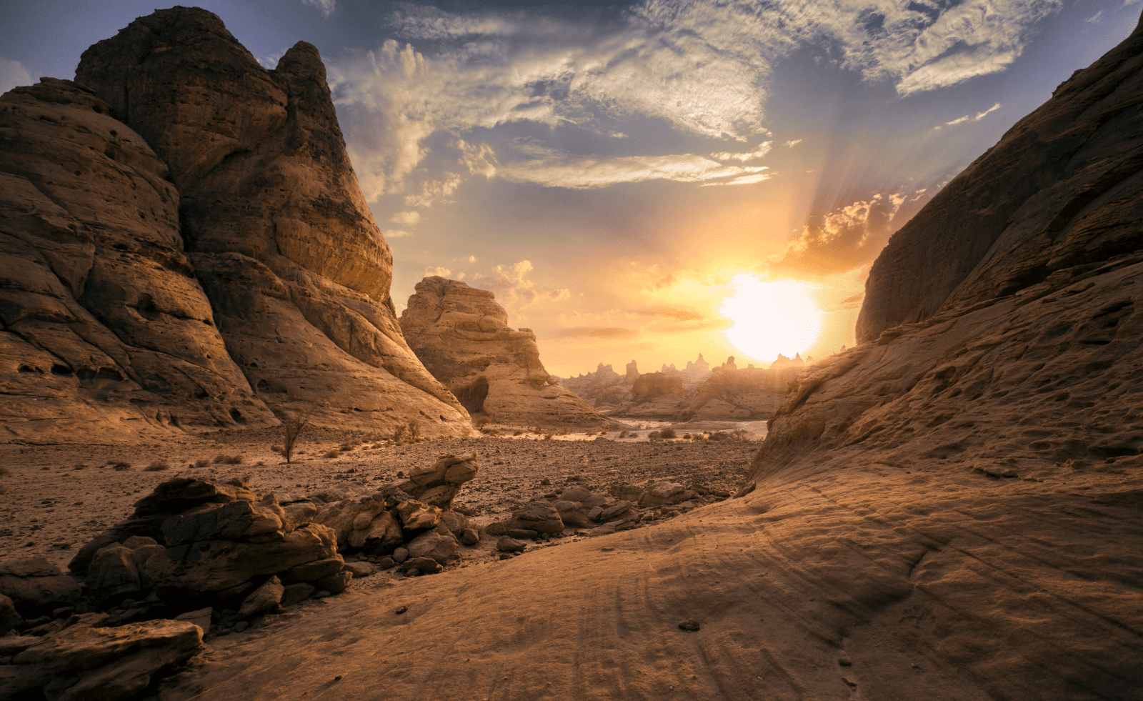 Home Desert Adventures in Saudi Arabia