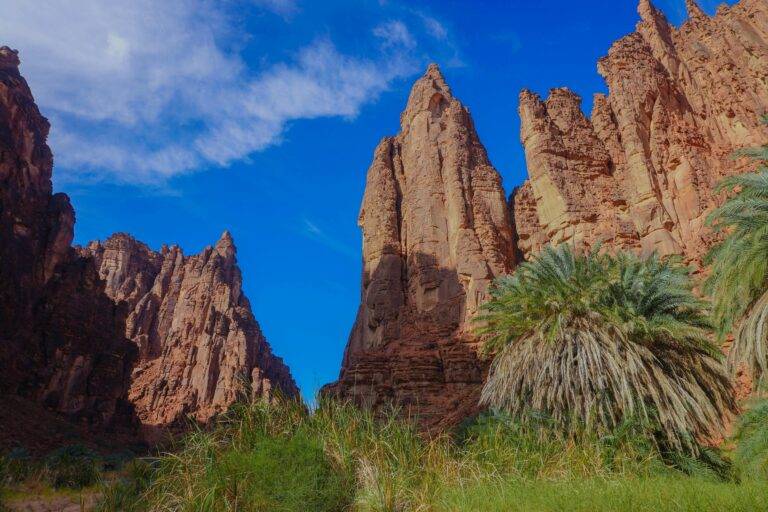 Scenic view of Wadi Al-Disah canyon with palm trees and sandstone cliffs in northwest Saudi Arabia.