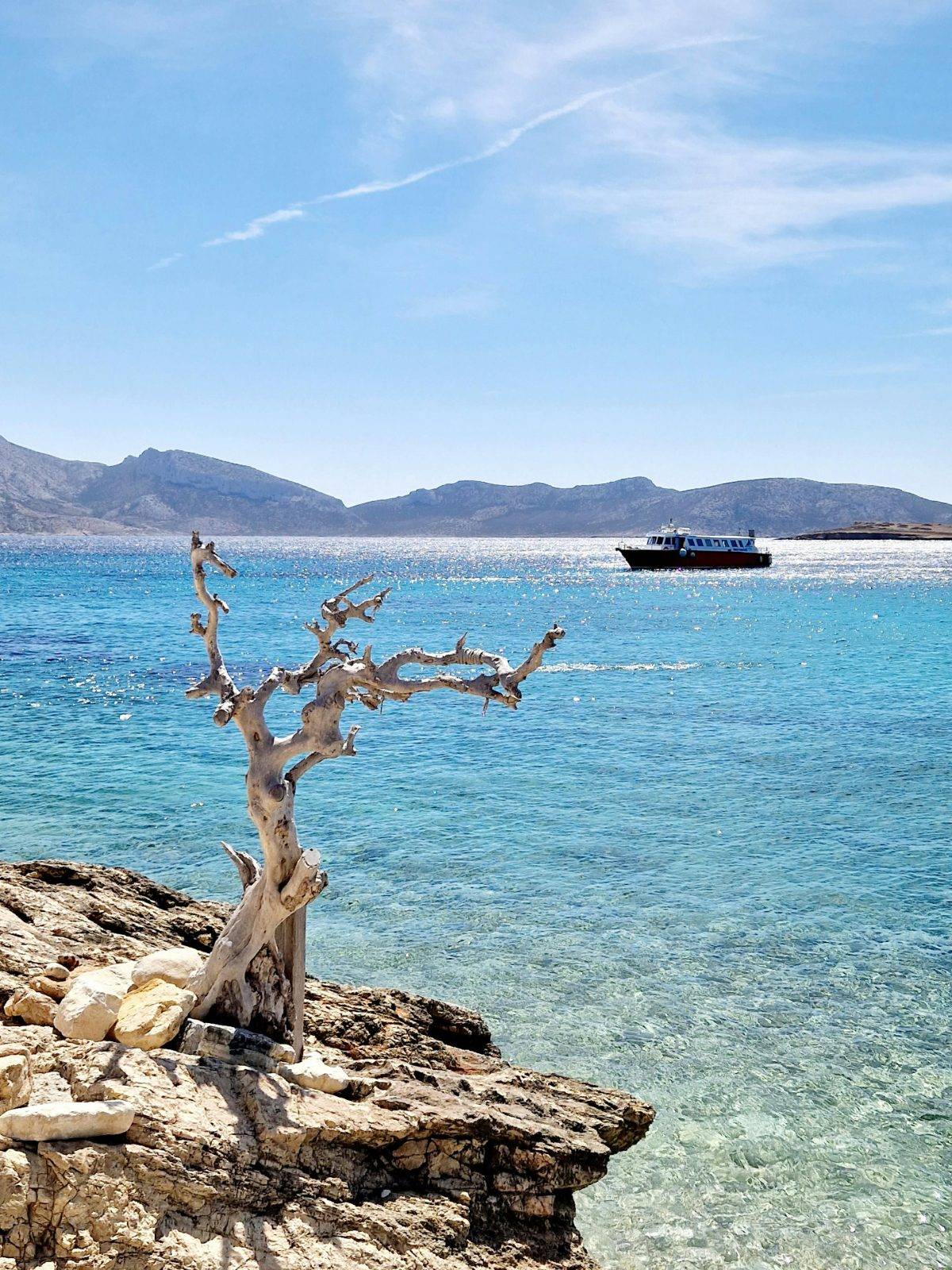 Pexels Claudia Schmalz 3928374 20346963