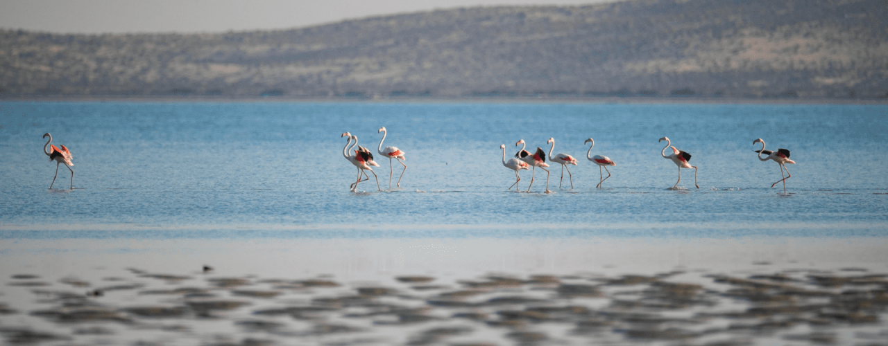 Best Destinations in Saudi Arabia