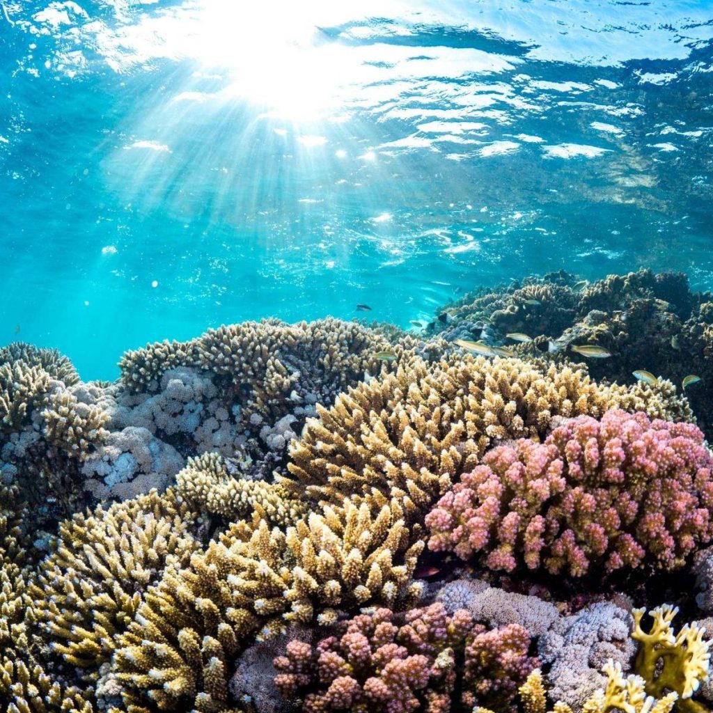 8472406 Rcm2b61w61eakzjzuuf49n3ls4iu7on8rfcrsqxyps