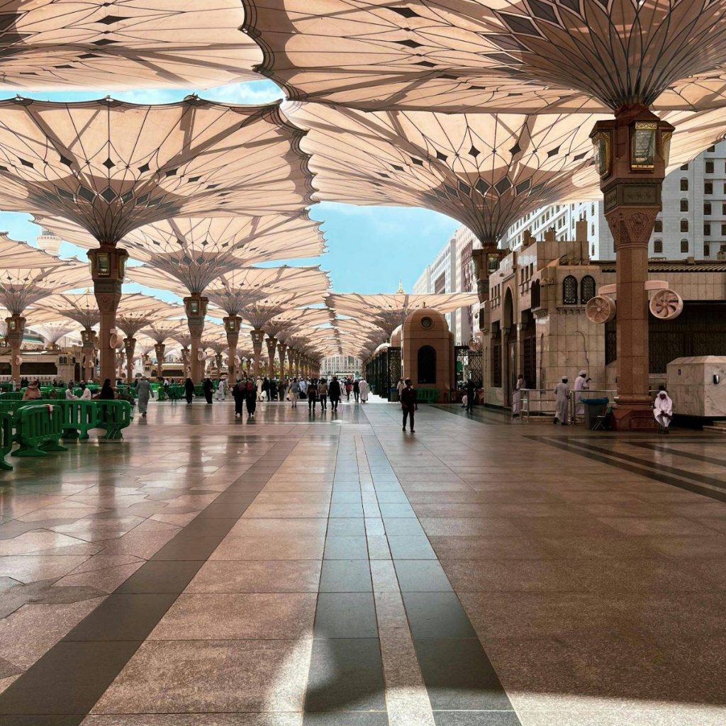 pexels ghasiq anjum 263451883 13290222