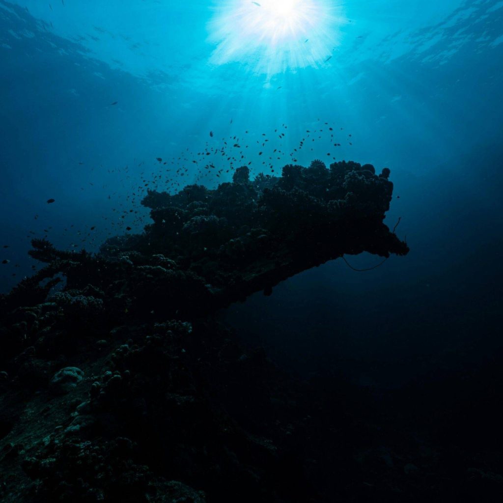 Stunning underwater view of a coral reef with sunlight filtering through in Yanbu, Saudi Arabia.