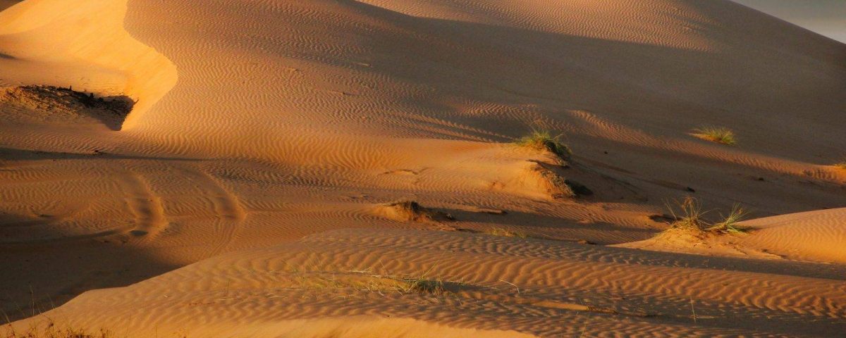 Saudi desert adventure in the Rub al Khali